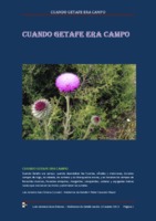 CuandoGetafeEraCampo(n165).pdf